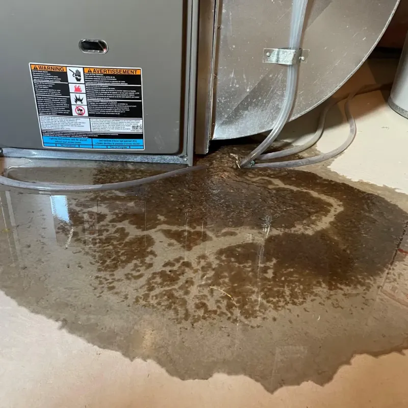 Appliance Leak Cleanup in Veazie, ME